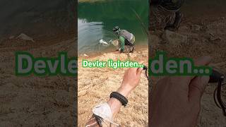 O Ne Kalın Gövde Öyle