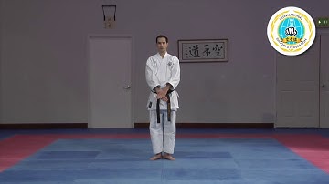Annanko shito ryu kata