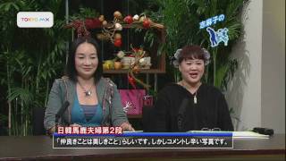 日韓馬鹿夫婦第２弾 Youtube