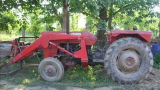 Silage 2009