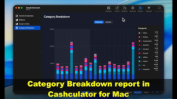 Category Breakdown Graph in Cashculator - Visualize Your Spending by Category