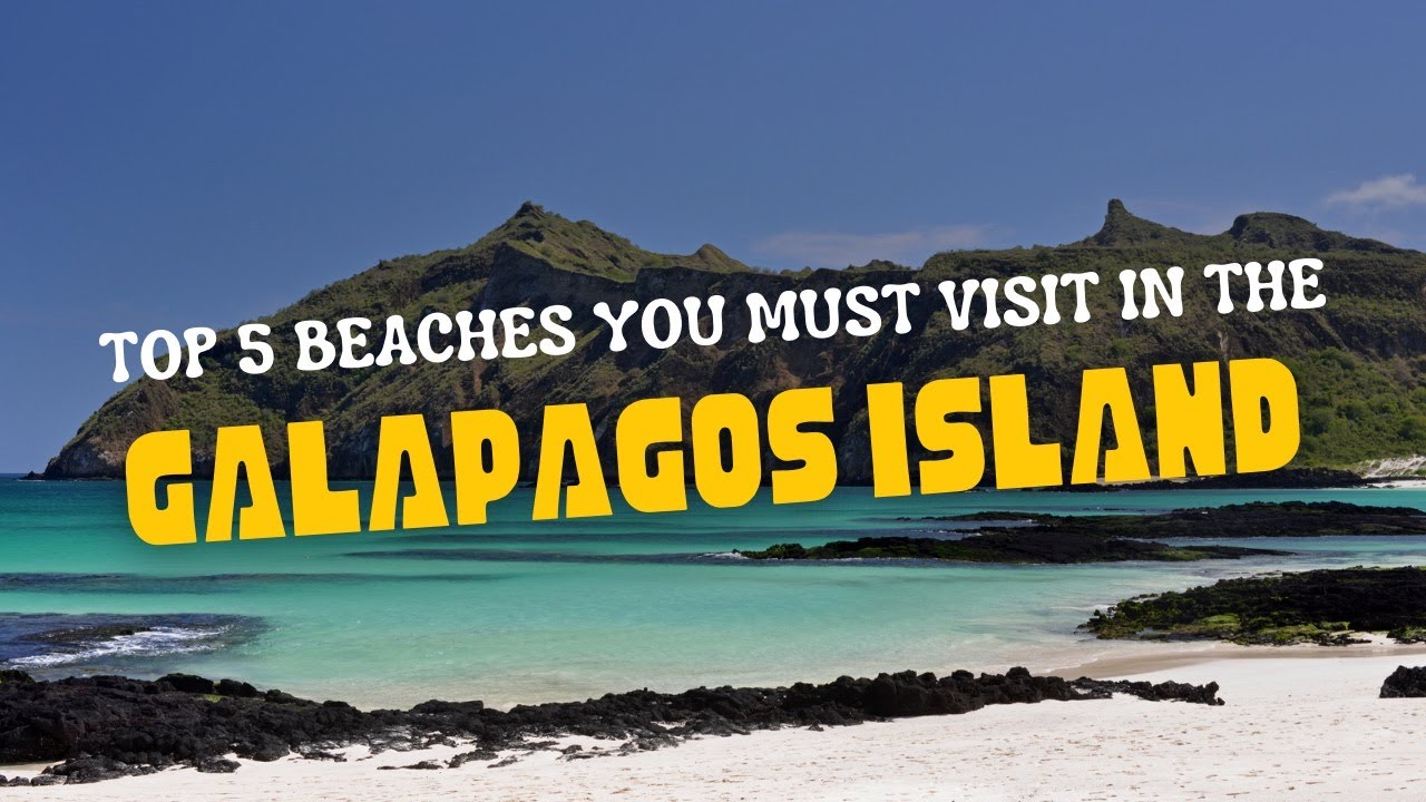 Top 5 Beaches you must-visit in the GALAPAGOS ISLANDS