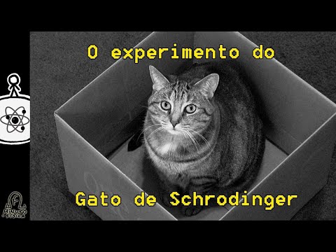 Vídeo: Teoria De Schrödinger Em Termos Simples