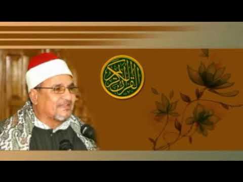 الشيخ محمد عبدالوهاب الطنطاوي سورة المؤمنون Mohamed Abdel Wahab Al Tantawy