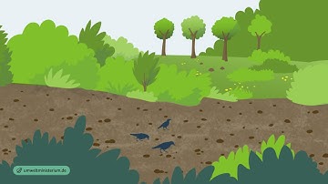 Soil and climate protection – are they connected?