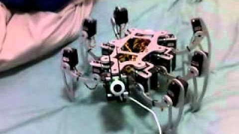 Hexapod (MSR-H01) tracking faces using Roborealm
