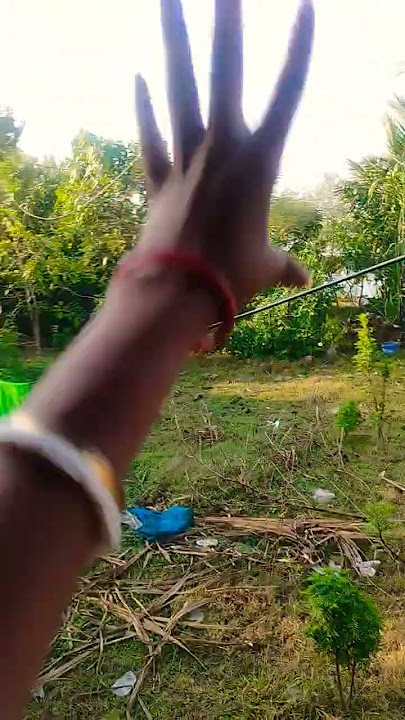 Niki is the most celebrity 😤🐕😫😡🐕😱chihuahua in the world #p4163