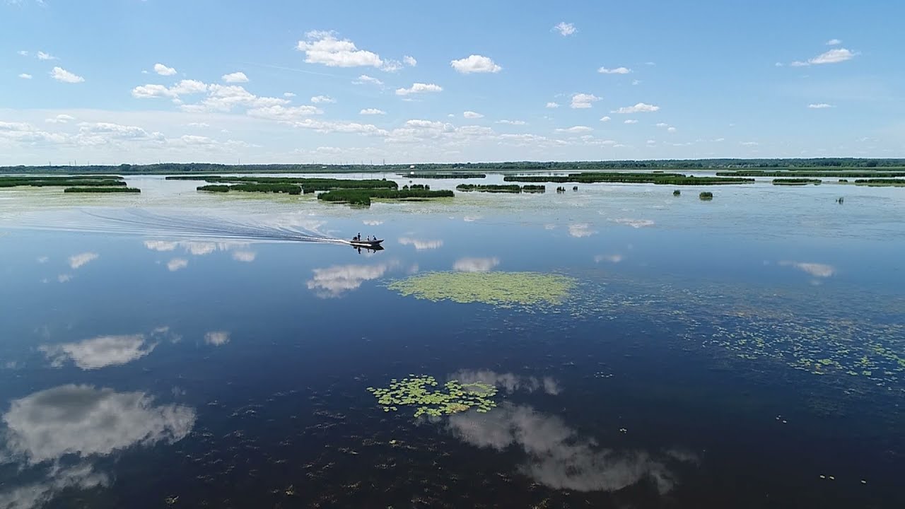 Big Muskego Lake - 2020