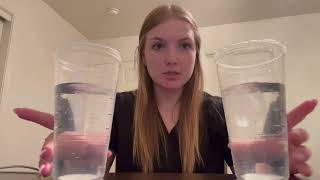 Service Learning Experiment