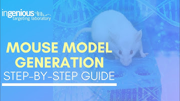 Mouse Model Generation: Step-by-Step Guide