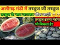 अलीगढ़ मंडी में आया तरबूज!! अलीगढ़ मंडी में तरबूज का क्या रहा भाव? #tarbooj