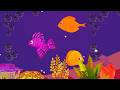 Soft Blue Ocean Fish🐠 Lullaby Music Gentle Baby Sleep Sounds 🎵with Calm Aquarium Visuals