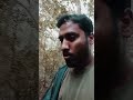 The Woods Were Lovely, Dark and Deep.