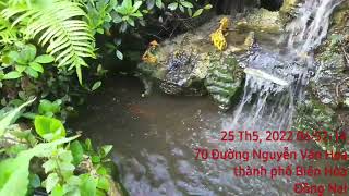 Tp Biên Hòa 286-2022