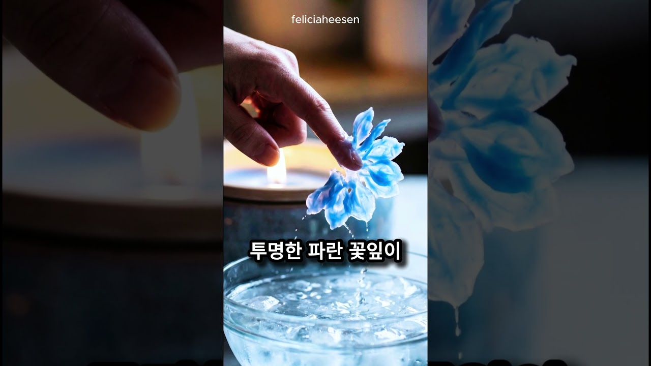 버려진 양초로 꽃을 만든다고요? 손가락 하나면 됩니다