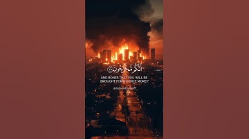 لس آنجل | سوره مؤمنون آیه 34-37 یاسر الدوسری #قرآن #قرائت #قرآن #تلاوت #تیلاوات