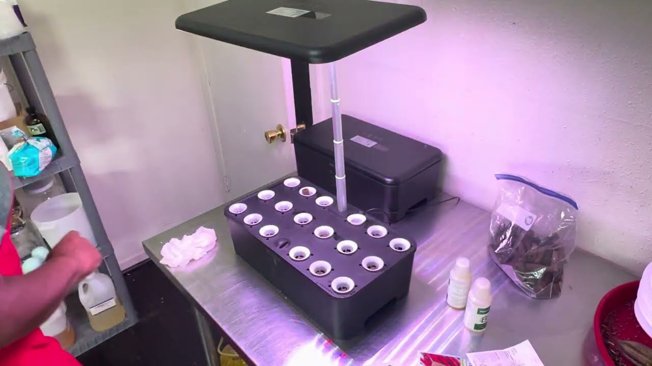 STARTING SEEDS 🌱 in the MUFGA HYDROPONIC  💦 SYSTEM 👩🏽‍🌾