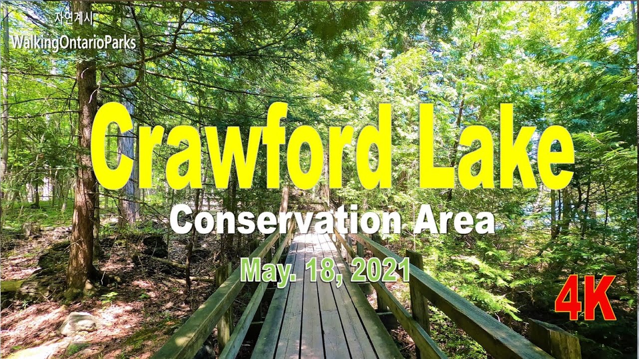 [4K] Crawford Lake Conservation Area, #3 [2021.05.18] - YouTube