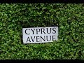 Van Morrison - Cyprus Avenue