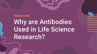 Why Are Antibodies Used In Life Science Research?