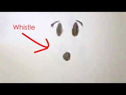 Whistle Face - Roblox