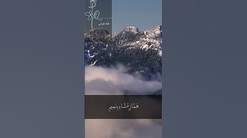 قرآن كريم سالم الرويلي