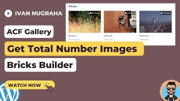 Bricks Builder: Retrieve Total Number of Images in ACF Gallery