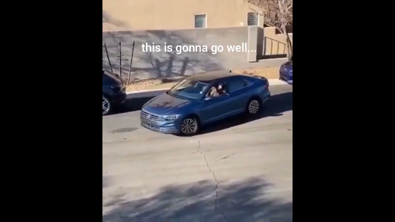 parallel parking at it's funniest