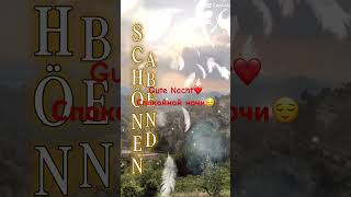 Wünsch ich euch❤️#reisen #autoreisen