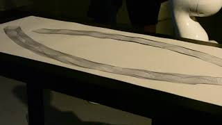 Ai And Intercultural Dialogue. Teamvoid Young Cho.