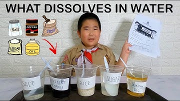 Science Experiment about Dissolved and Non Dissolved in Water