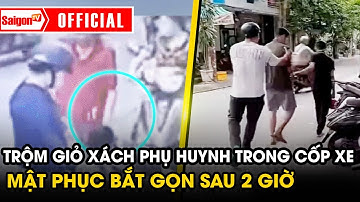 C.A trích xuất camera, mật phục bắt kẻ trộm giỏ xách của phụ huynh để trong cốp xe | Tin SaigonTV