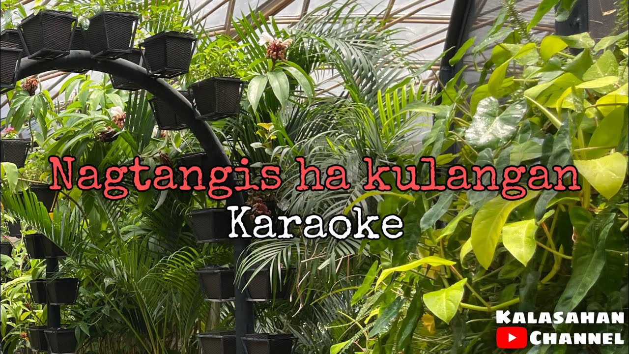 Nagtangis Ha Kulangan | KARAOKE