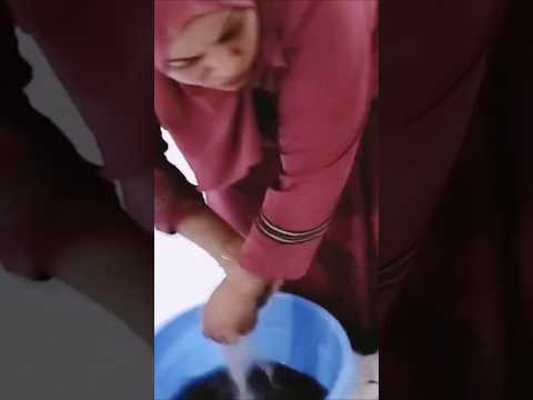 مسح غرفة الضيوف فى بيت البلد Shorts