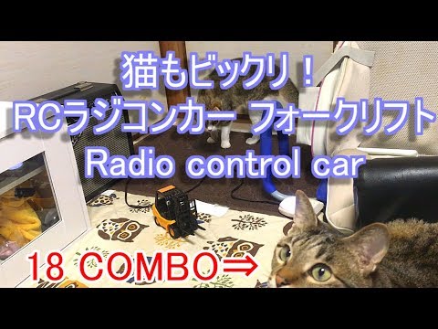 可愛い子猫面白い動画 猫部屋にラジコンカー玩具で猫パンチ炸裂 Cute Kitten Funny Video Rc Car Toy In Cat Room Youtube