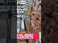 Emergency Restoration Help Us Preserve Our Heritage!