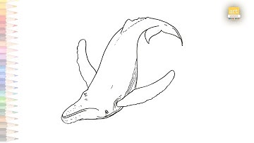 Humpback Whale drawing easy | dibujo de ballena saltando | How to draw reverse jumping whale #easy