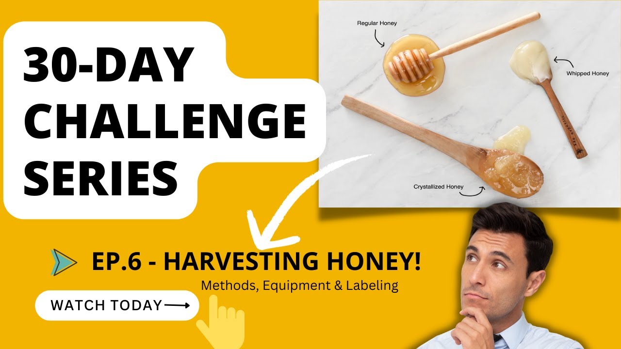 DAY 6 Harvesting Honey (30Day Challenge Series) Harvesting methods