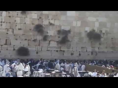 Vídeo: El Mur de les Lamentacions a Jerusalem. Israel, Mur de les Lamentacions