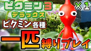 【ピクミン３】各種ピクミン一匹でどこまでいけるか挑戦！【ルールは説明欄記載】デラックス