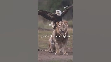 تلاوة خاشعة و هادئة تريح القلب