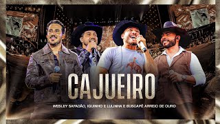 Wesley Safadão, Iguinho & Lulinha e Buscapé Arreio de Ouro - Cajueiro - Muído de Vaquejada