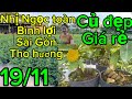 19-11-2024 ☎️0987353953🌲mai ghép giá rẻ mong cả nhà ủng hộ