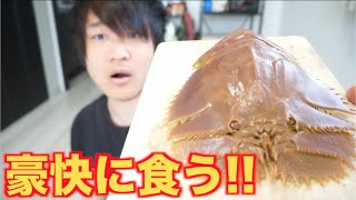 大暴走！！ゴキブリみたいなエビを豪快に塩焼きにするよ！！