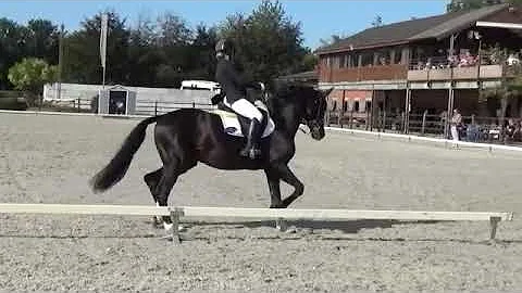 Julie Sutherland en Bailamos Biolley Brabo 1st met...