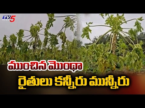 ముంచిన మొంథా | Huge Crop Loss To Farmers | Ambedkar Konaseema District | Tv5 News - TV5NEWS