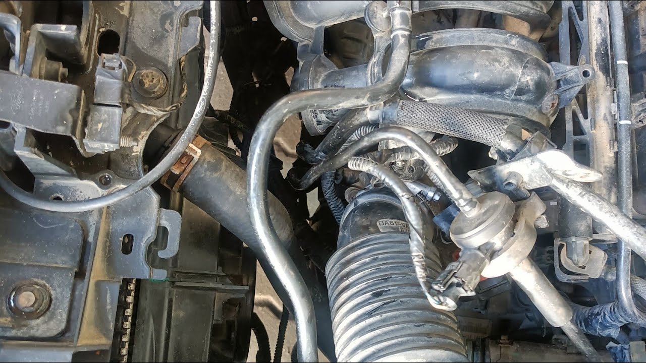 welcome in my lives stream Radiator fan check 