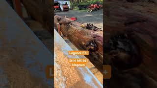 Logosol F2  and Stihl 661 Magnum