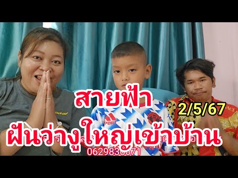 สายฟ้าฝันว่างูใหญ่เข้าบ้านต้องมีโชคแน่ๆงวด 2 พฤษภาคม 2567