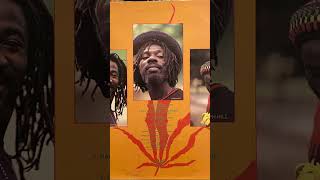CULTURE - International herb #reggae #music #vinyl #recordcollection #1979 #jamaicanmusic